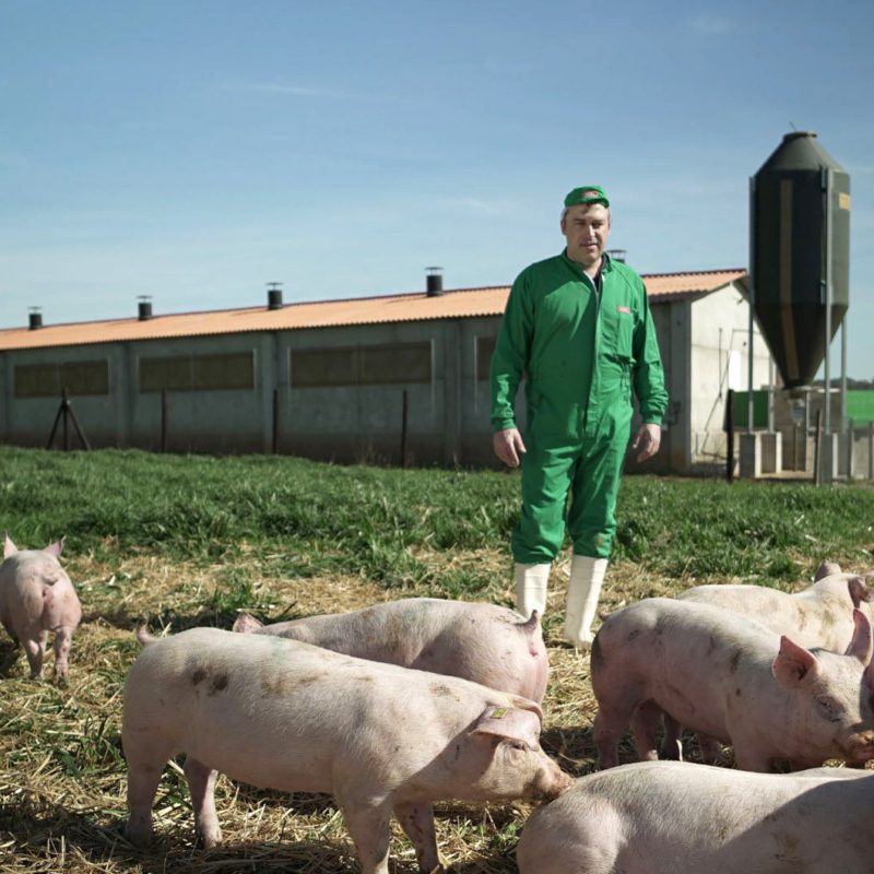 Boerderij met varkens van Aromas del Sur